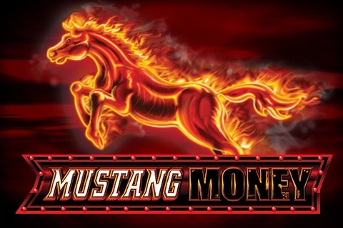 00920 mustang money