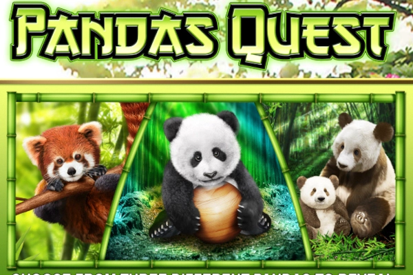 01329 pandas quest