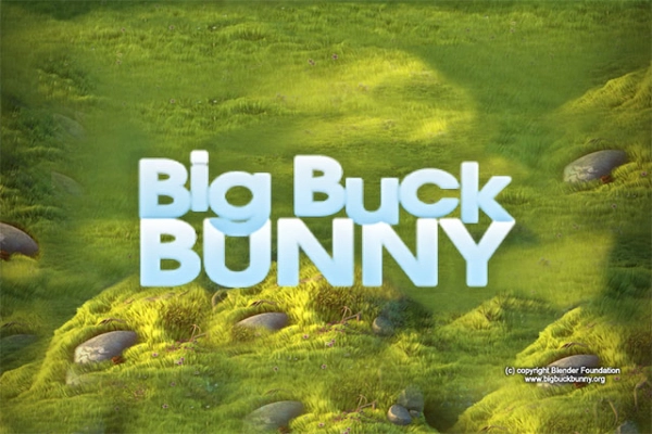13748 big buck bunny