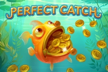 14269 perfect catch