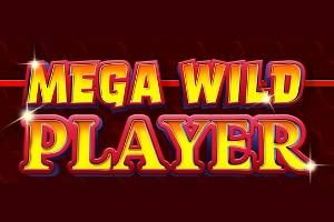 23188 mega wild player